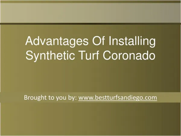 Advantages Of Installing Synthetic Turf Coronado