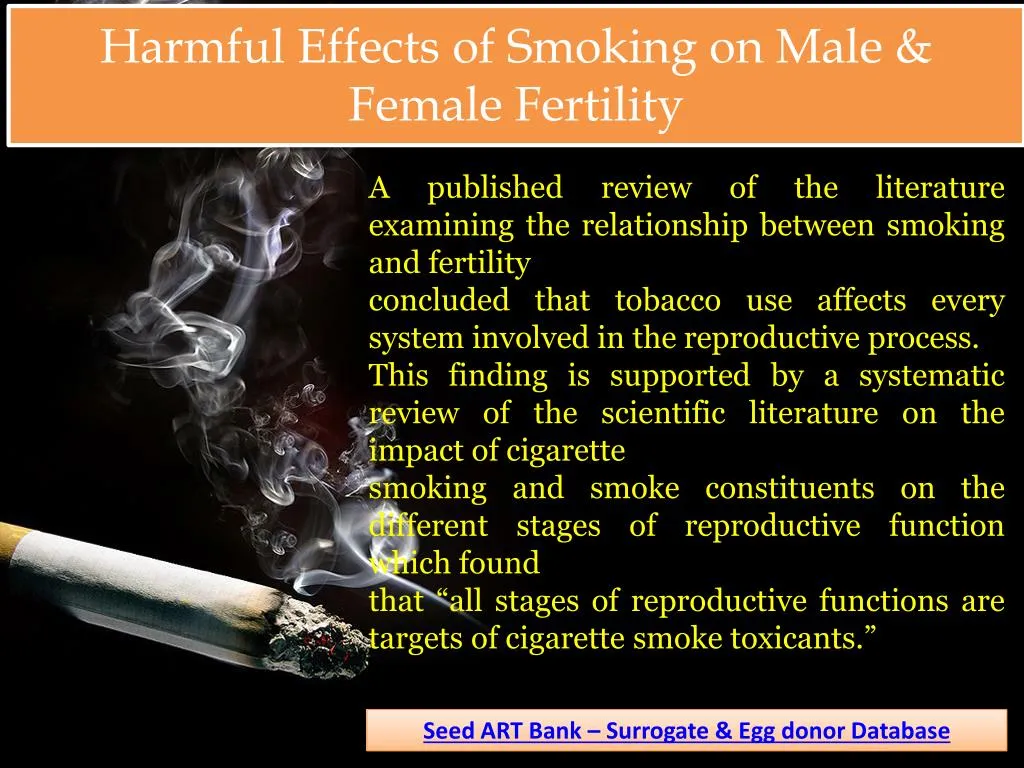 harmful effects of smoking on male female fertility