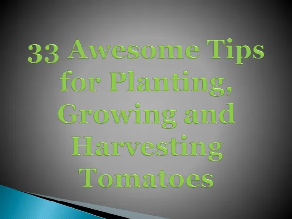 33 Awesome Tips for Planting, Growing and Harvesting Tomatoes