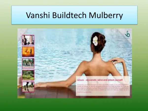 Vanshi Buildtech Mulberry