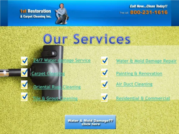 Professional mold removal services in Cooper city