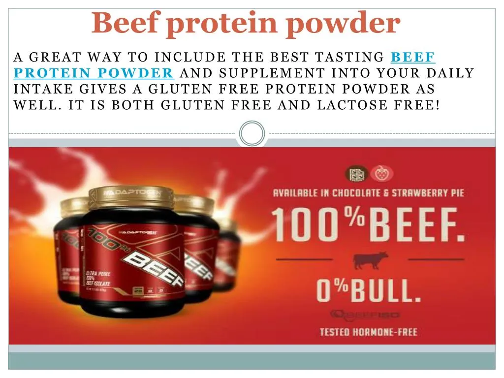beef protein powder