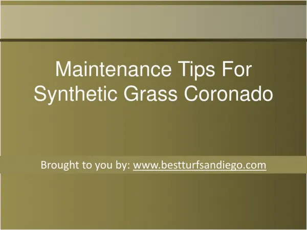 Maintenance Tips For Synthetic Grass Coronado
