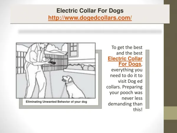 Electric collar for dogs