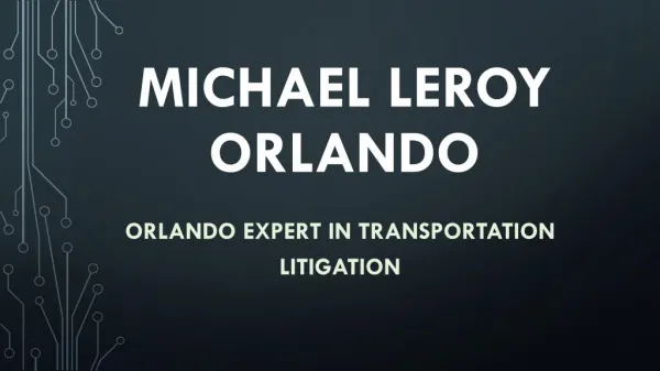 Michael LeRoy - Orlando Expert in Transportation Litigation