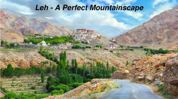 Place to visit in Leh