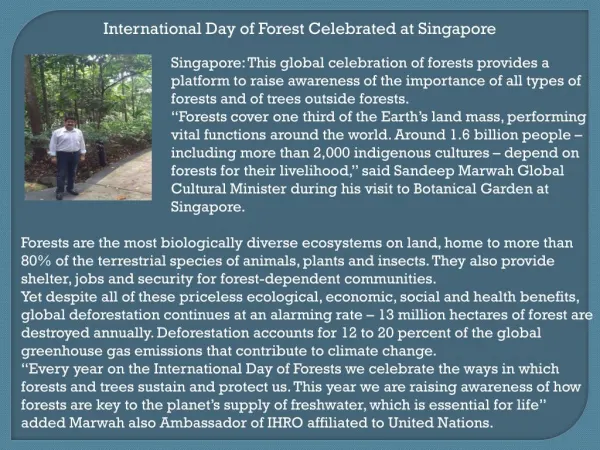 International Day of Forest Celebrated at Singapore