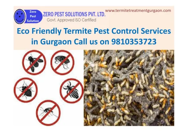 Eco Friendly Termite Pest Control Services in Gurgaon Call 9810353723