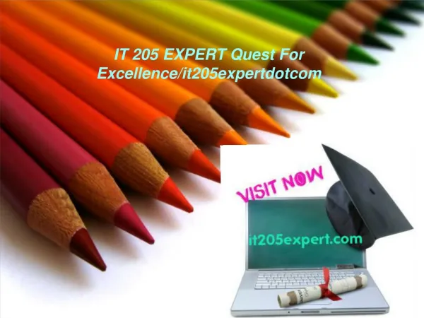 IT 205 EXPERT Quest For Excellence/it205expertdotcom
