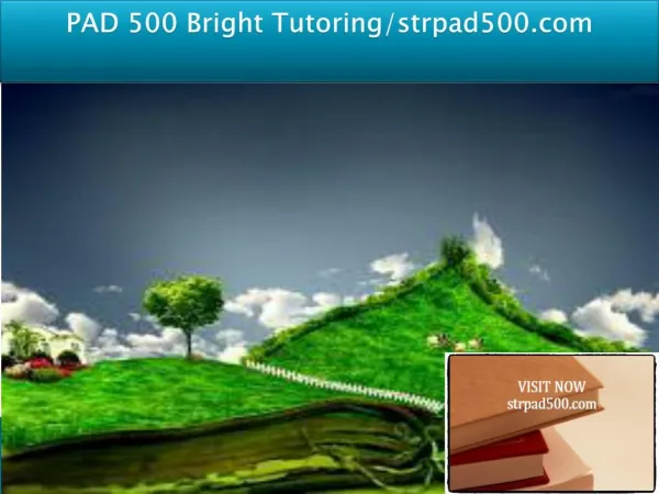 PAD 500 Bright Tutoring/strpad500.com