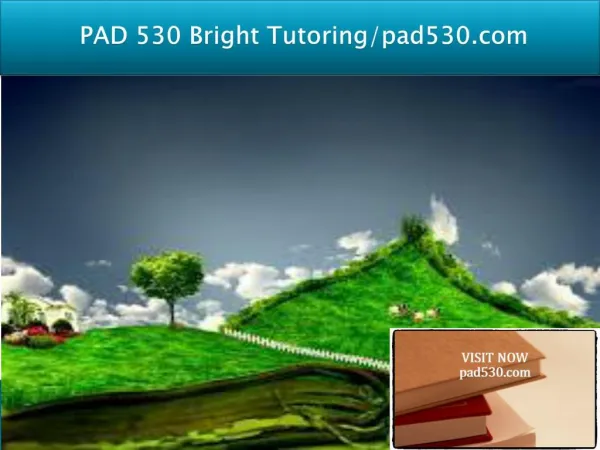 PAD 530 Bright Tutoring/pad530.com