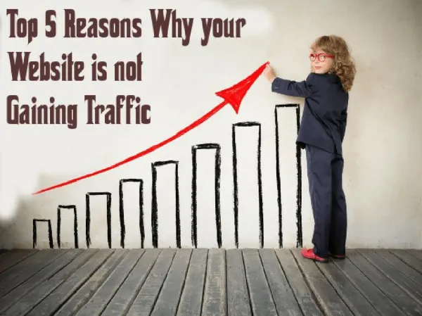 5 Reason your Website is not gaining good traffic