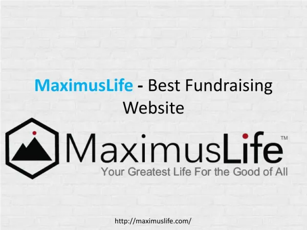 MaximusLife Best Fundraising Agency