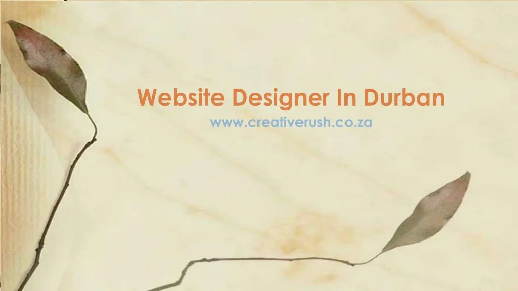 website designer in durban