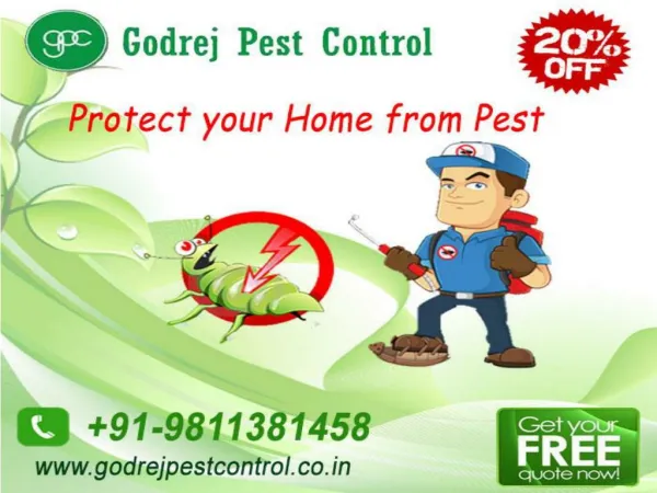 Flat 20% off on pest control Faridabad by GPC