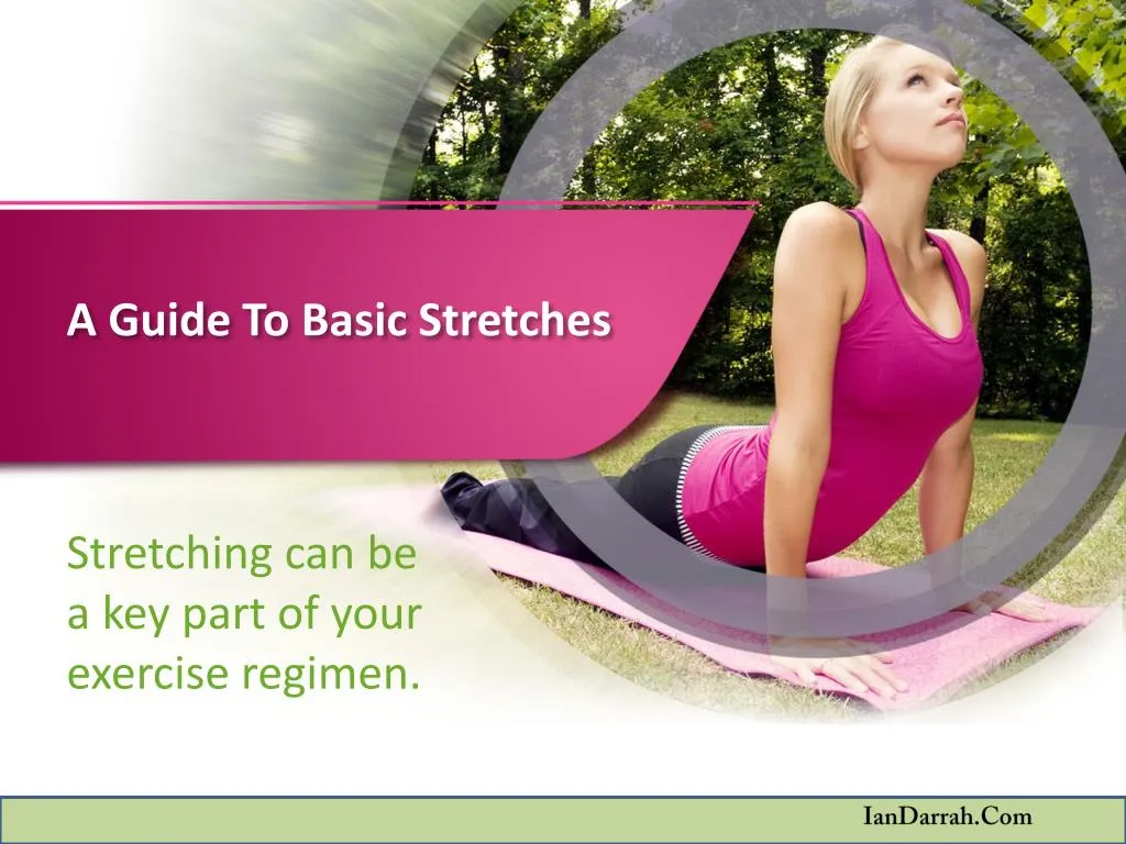 a guide to basic stretches