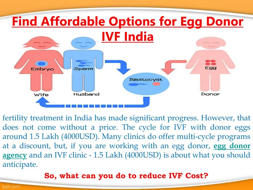 find affordable options for egg donor ivf india