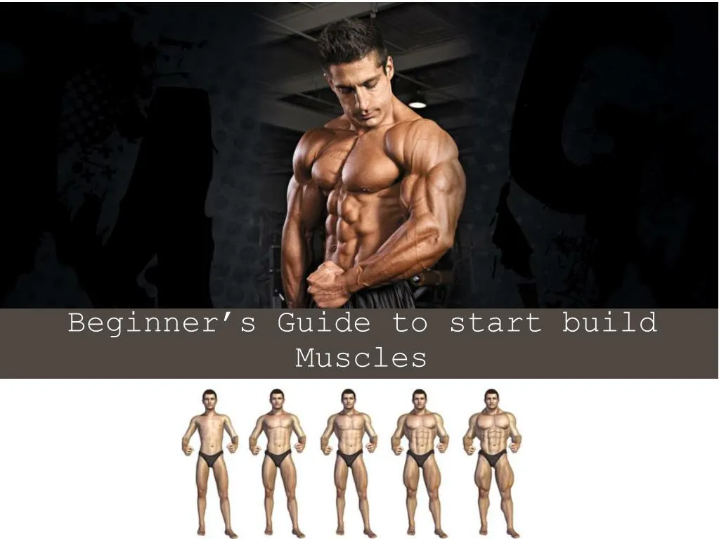 beginner s guide to start build muscles