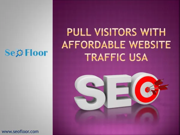 Pull Visitors with Affordable Website Traffic USA
