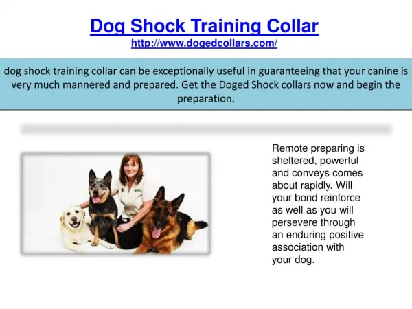 Dog shock training collars