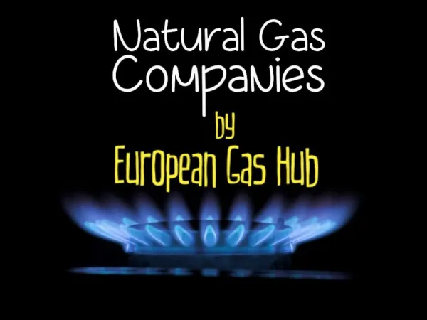 Natural Gas Companies by European Gas Hub