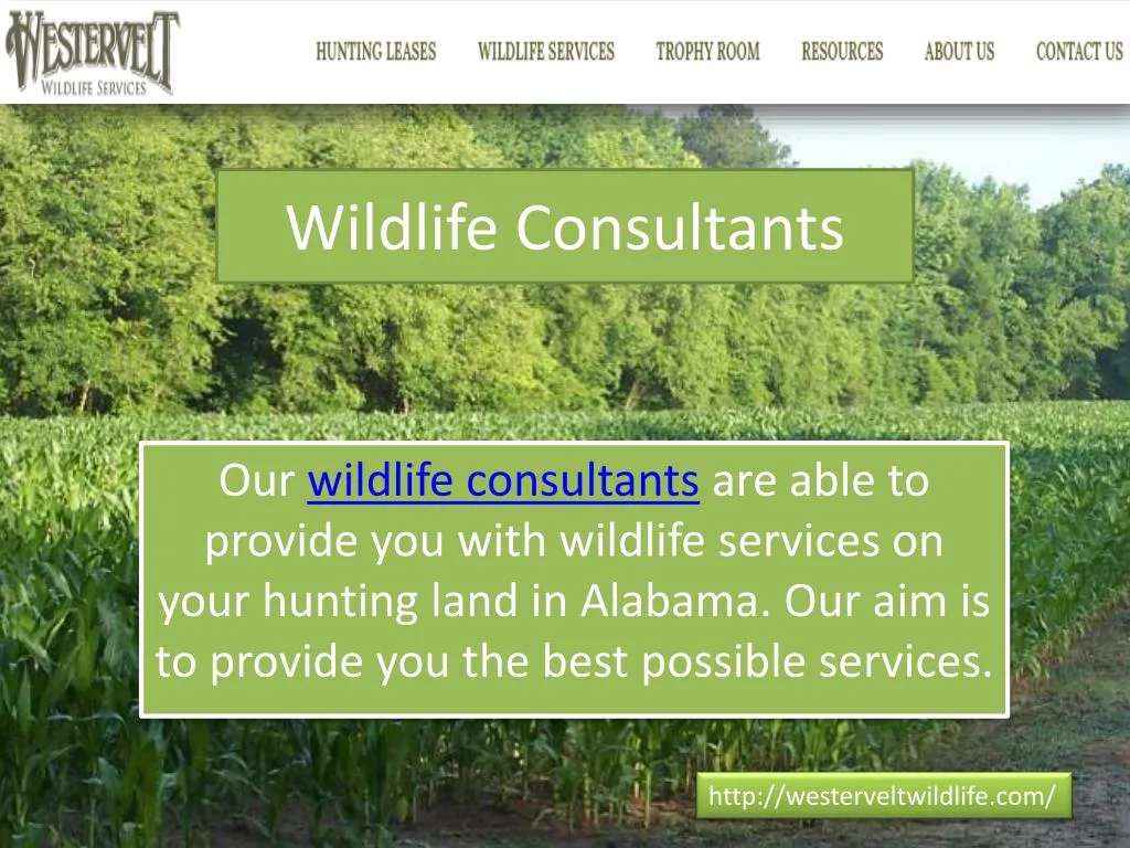 wildlife consultants