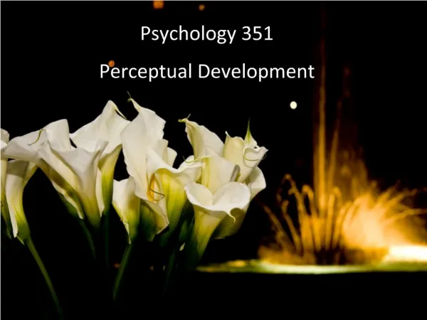 MLSC609 Week 10 of 11: Perceptual Development, Attention