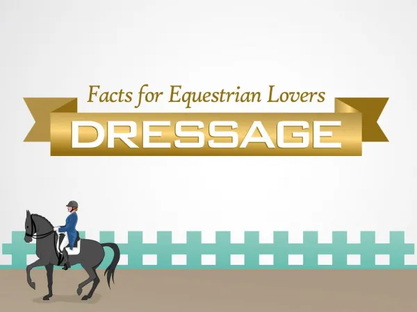 Facts for Equestrian Lovers: Dressage