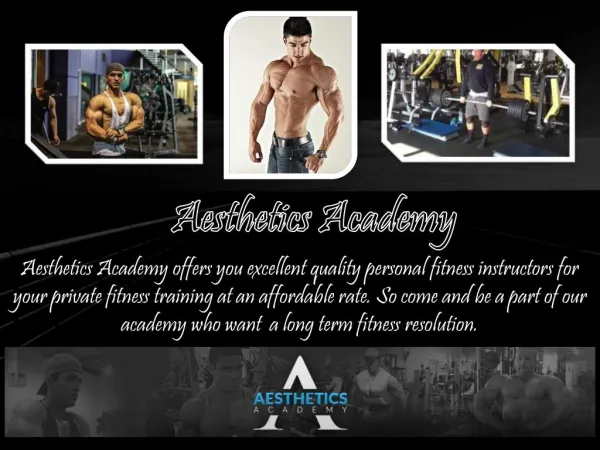 Online Personal Fitness Experts by Aesthetics Academy