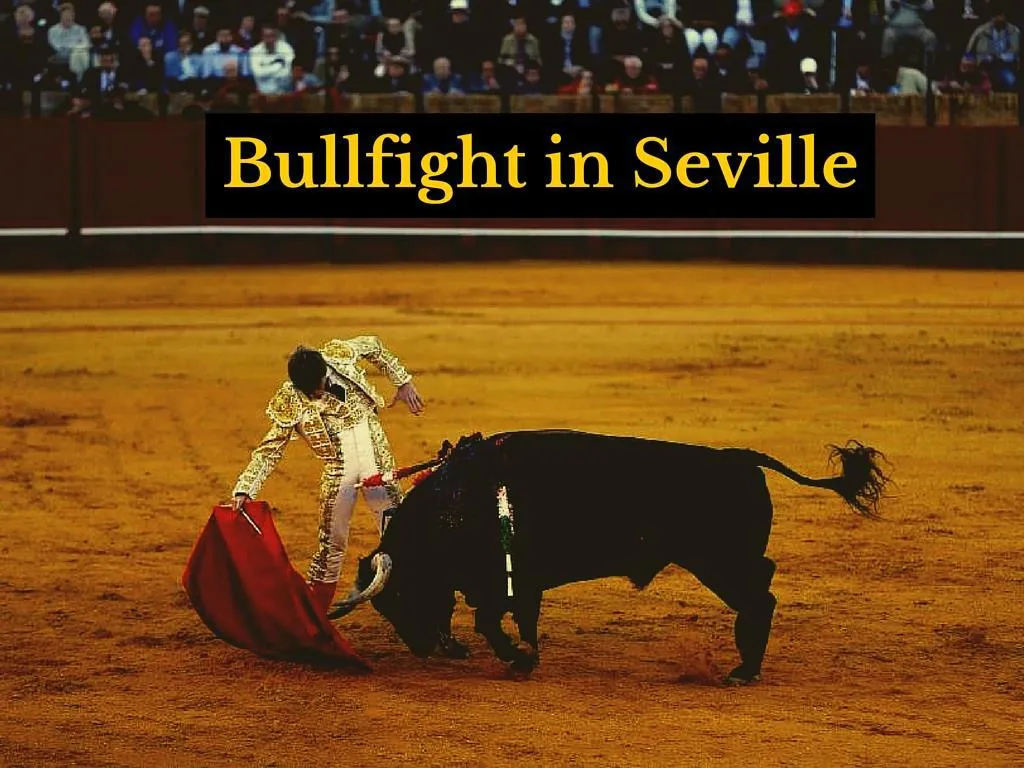 bullfight in seville