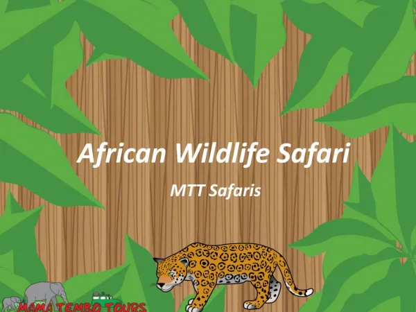 African Wildlife Safari: Insider Secrets for the Photographic Safari