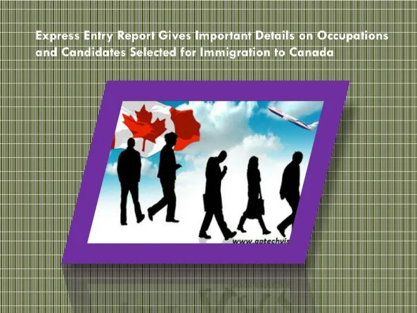 Express Entry Report Gives Important Details on Occupations and Candidates Selected for Immigration to Canada