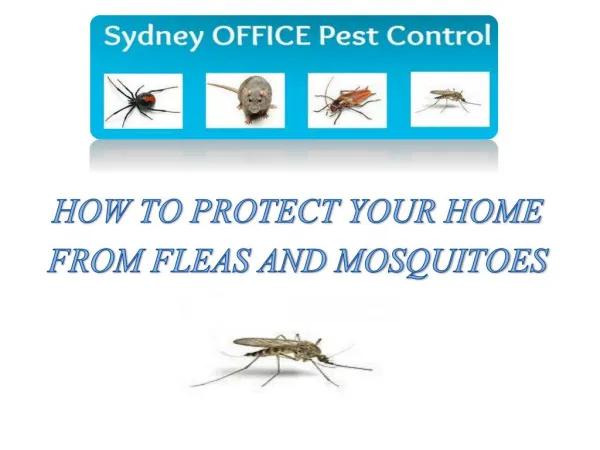 HOW TO PROTECT YOUR HOME FROM MOSQUITOES