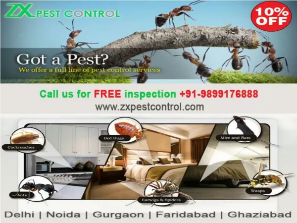 pest control ghaziabad