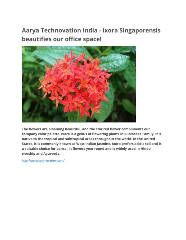 Aarya technovation india - Ixora Singaporensis beautifies our office space!