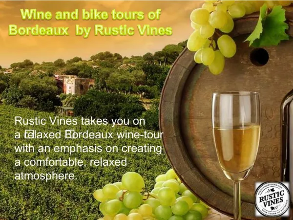 Wine and bike tours of Bordeaux by Rustic Vines