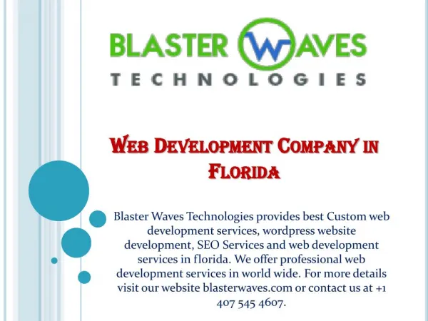 Web Development Company in Florida