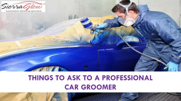 Things to ask to a Professional Car Groomer