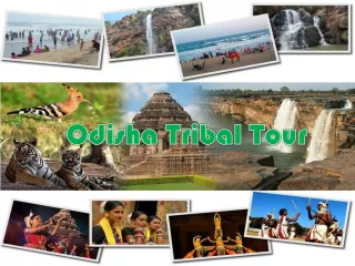 odisha tribal tour - slide 1