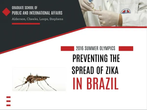 Preventing the Spread of Zika in Brazil
