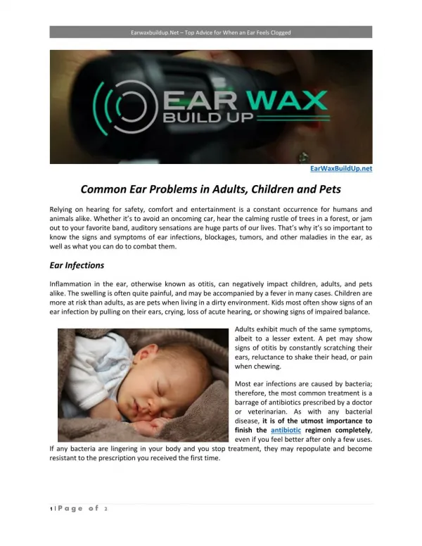 Common Ear Problems in Adults, Children and Pets