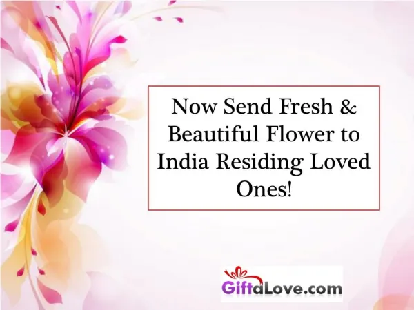 Now Send Fresh & Beautiful Flower to India Residing Loved Ones!