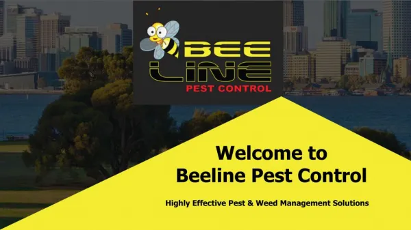 Beeline Pest Control