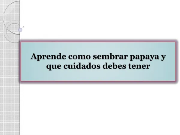 Aprende como sembrar papaya y que cuidados debes tener