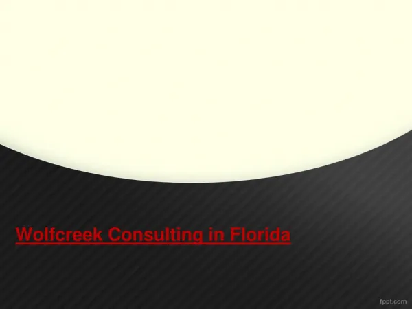 Wolfcreek Consulting in Florida