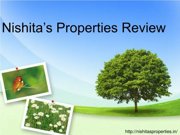 Nishitas Properties Review