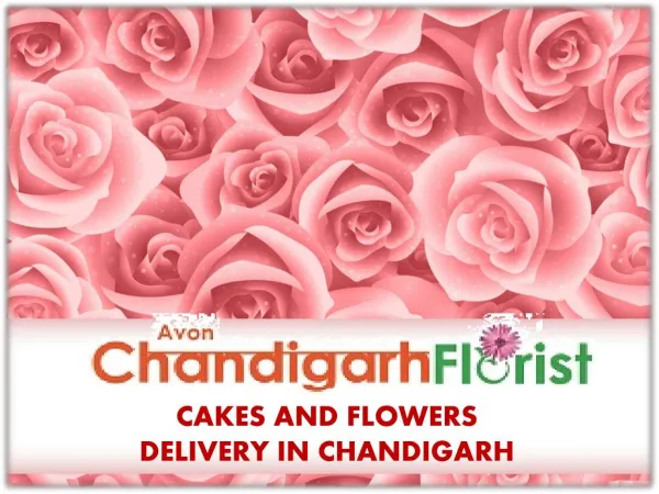 Cakes And Flowers Delivery In Chandigarh