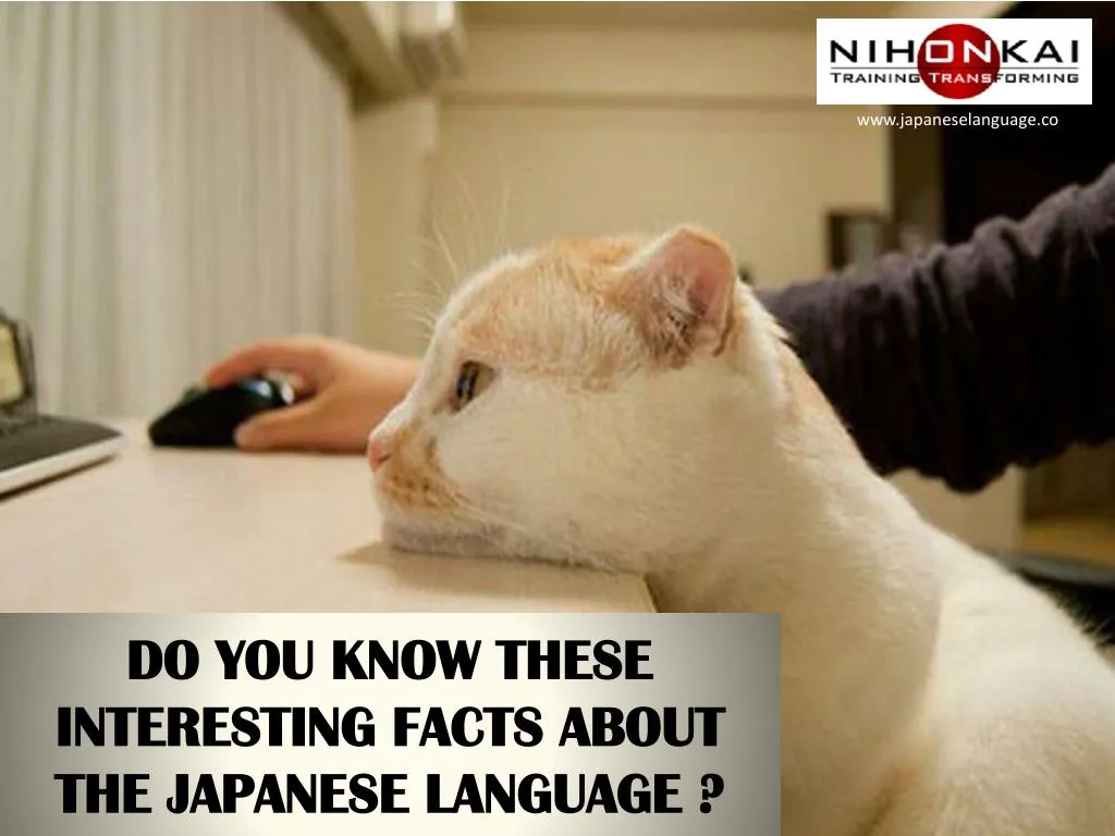 do you know these interesting facts about the japanese language