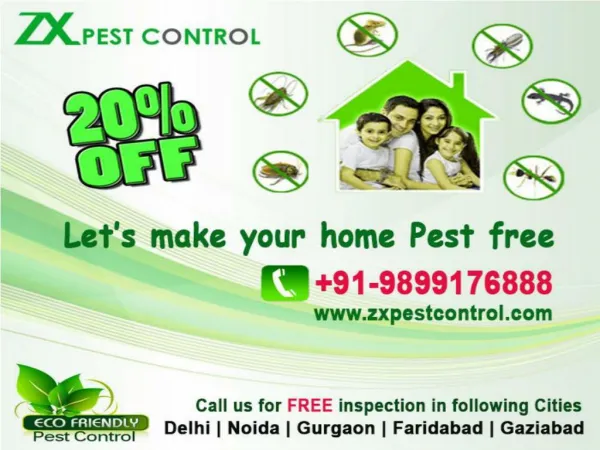 Flat 20% off on pest control services in Noida