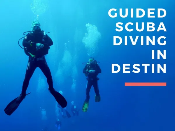 A Scuba Diving Shop in Destin